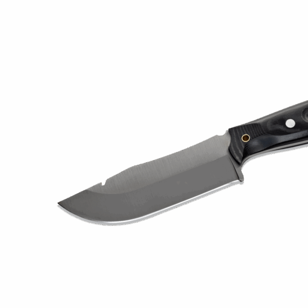Kodiak – Image 4