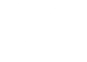 GetLogoFileByIdcopie